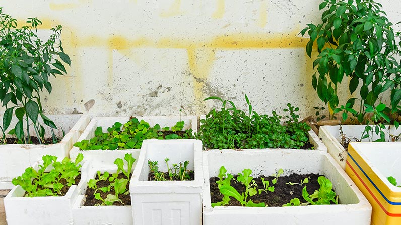 Maneiras Criativas de Reutilizar e Reciclar o Isopor