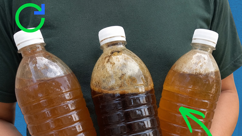 Foto1
